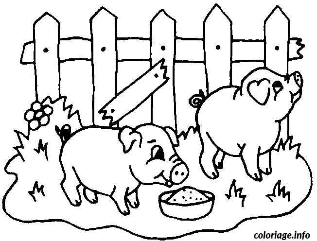 Dessin 2 cochons dans un enclos Coloriage Gratuit à Imprimer