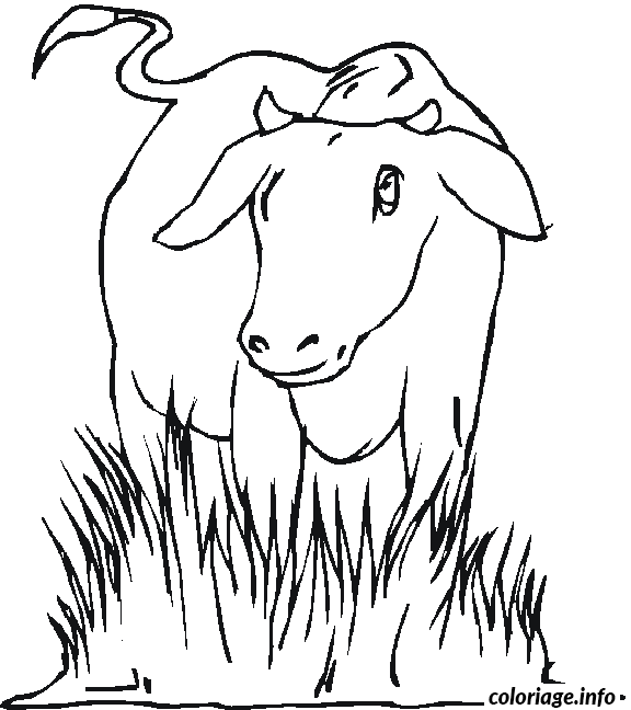 Dessin une vache dans une prairie Coloriage Gratuit à Imprimer