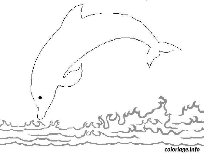 Dessin saut d un dauphin Coloriage Gratuit à Imprimer