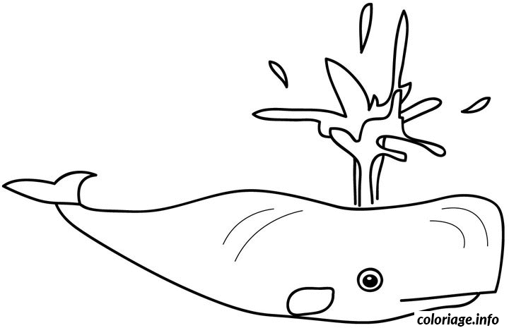 Dessin baleine crache de l eau Coloriage Gratuit à Imprimer