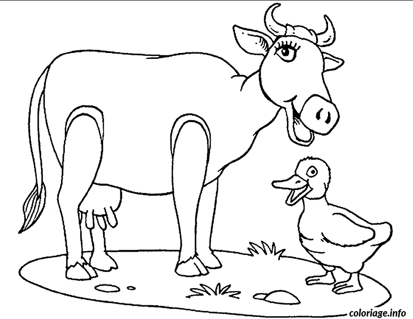 Dessin une vache avec un canard Coloriage Gratuit à Imprimer