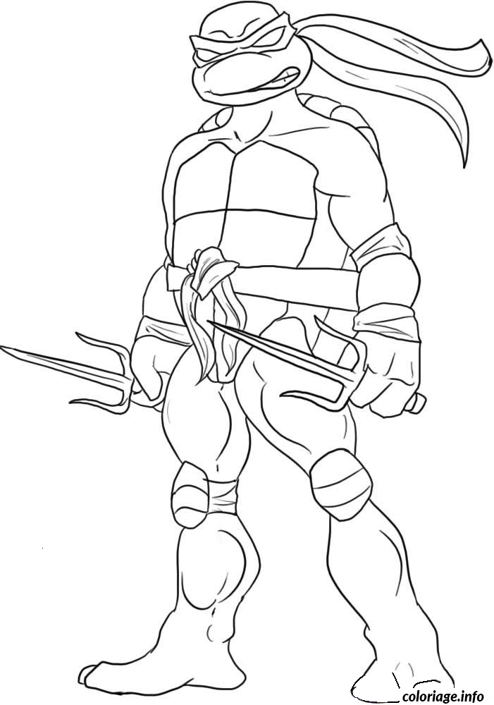Coloriage Tortue Ninja 4 dessin