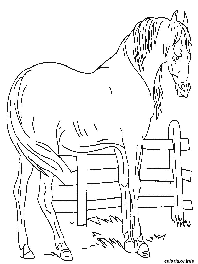 Dessin cheval et barriere Coloriage Gratuit à Imprimer