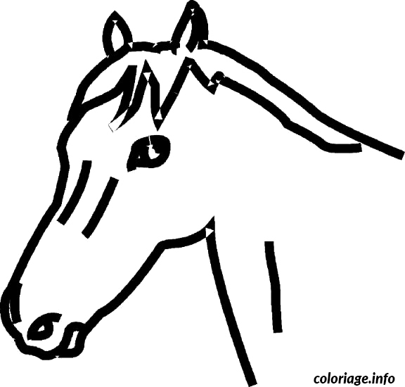 Dessin dessin de la tete d un cheval Coloriage Gratuit à Imprimer