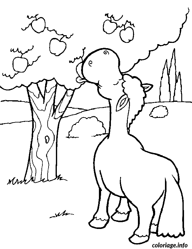 Coloriage Cheval Qui Mange Des Pommes Dessin Cheval à imprimer