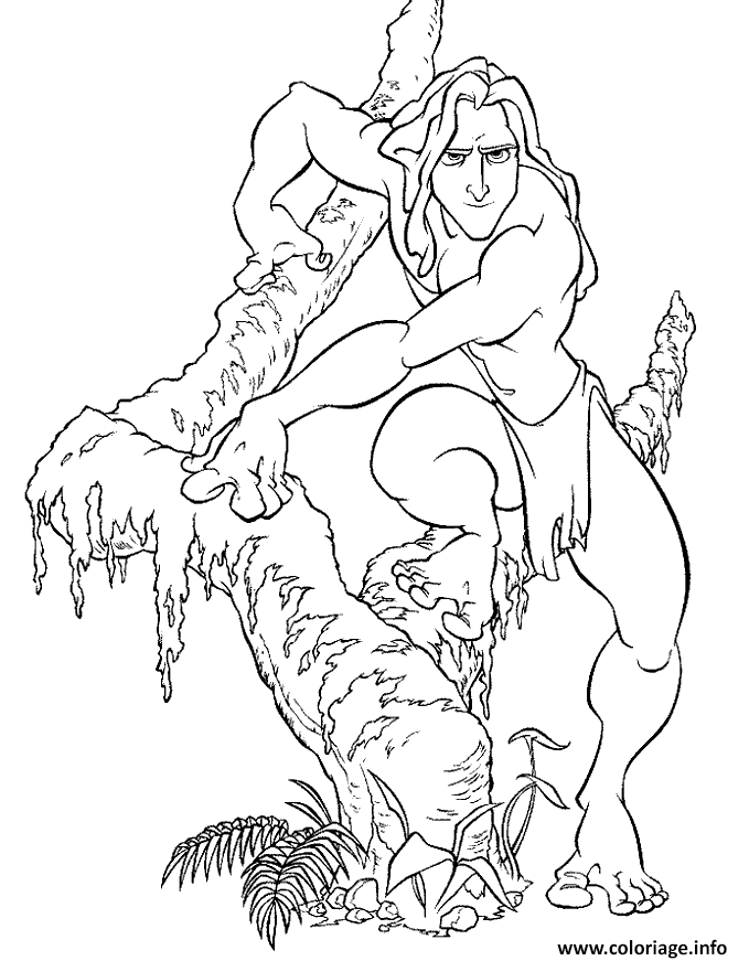 Dessin tarzan 32 Coloriage Gratuit à Imprimer