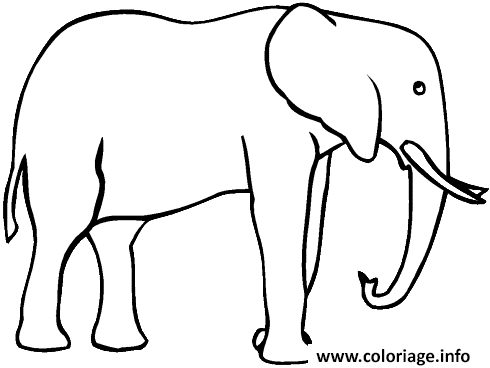 Dessin elephant de profil Coloriage Gratuit à Imprimer