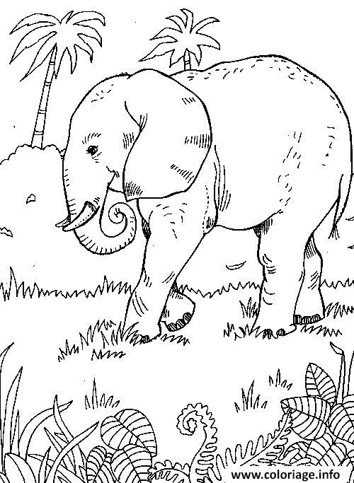 Coloriage Un Elephant En Savane Dessin à Imprimer