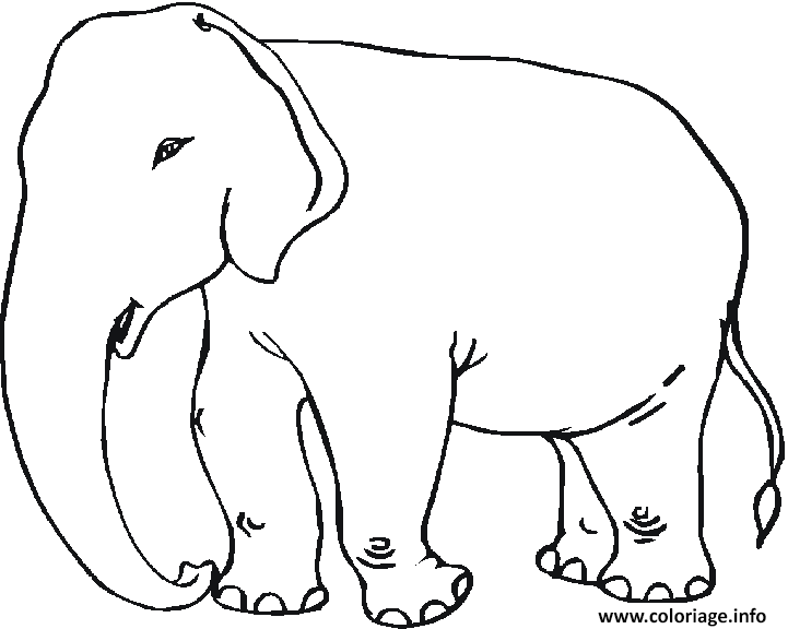 Coloriage Elephant A Colorier Dessin à Imprimer