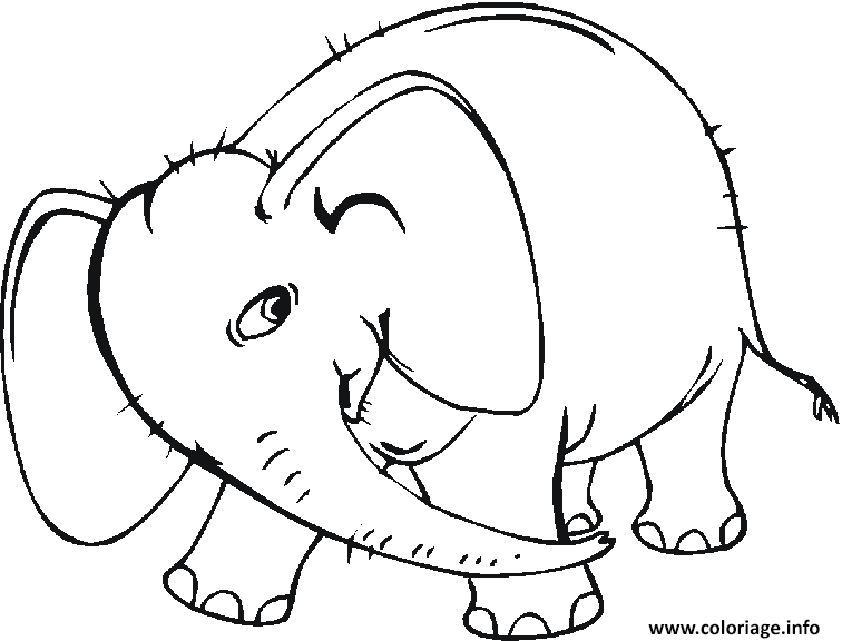 Coloriage Dessin D Un Petit Elephant Dessin à Imprimer