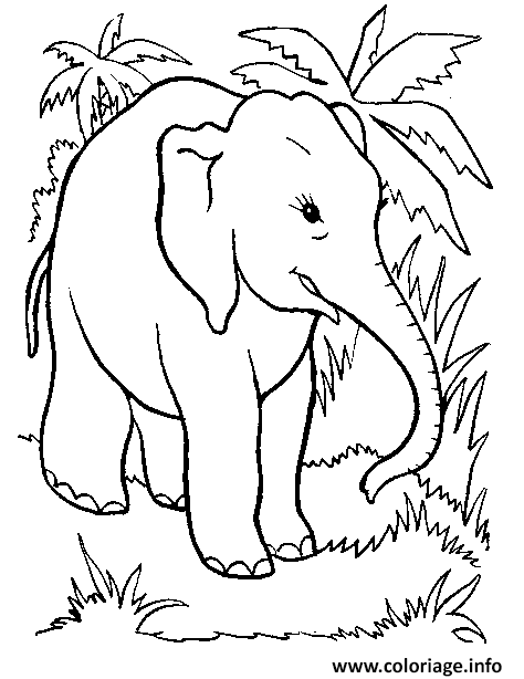 Coloriage Elephant Qui Se Promene Dessin à Imprimer