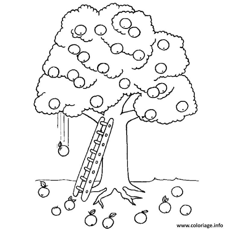 Coloriage D Un Arbre