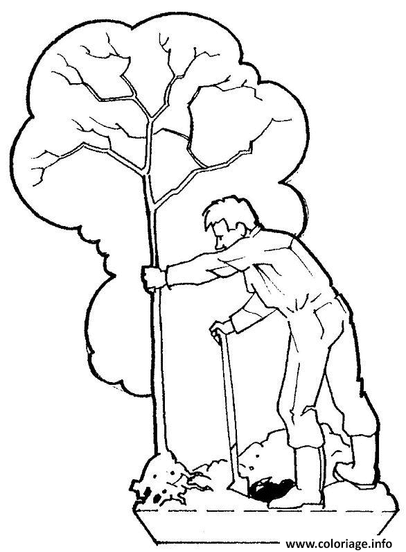 Dessin plantation d un arbre Coloriage Gratuit à Imprimer