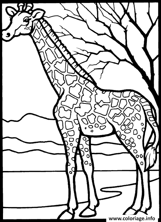 Dessin girafe et arbre Coloriage Gratuit à Imprimer