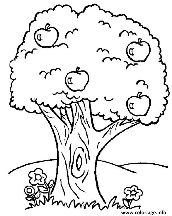 coloriage pommier dessin arbre a imprimer livre de lorax