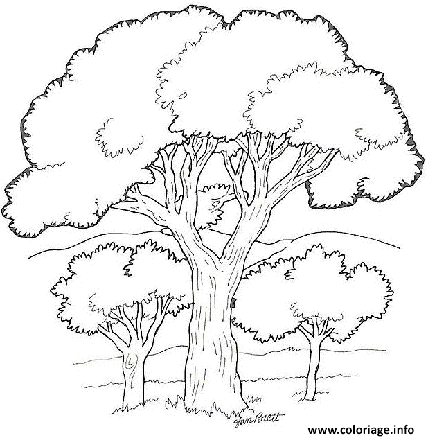 Dessin trois arbres Coloriage Gratuit à Imprimer