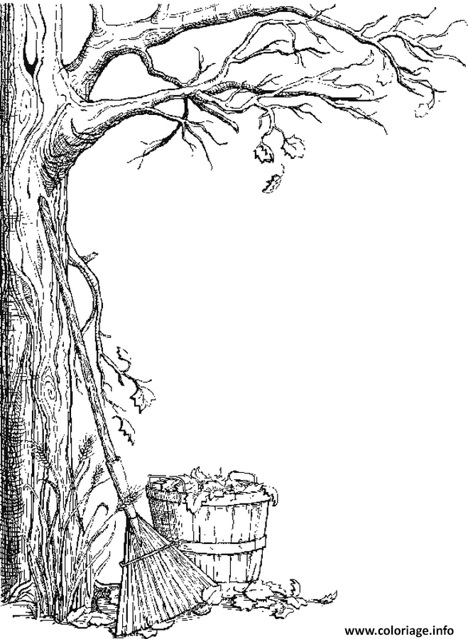 Dessin arbre sans feuilles avec un sceau remplit de feuilles mortes Coloriage Gratuit à Imprimer