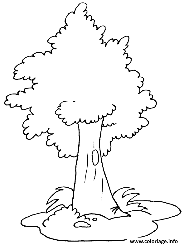 Dessin dessin a colorier d arbre Coloriage Gratuit à Imprimer