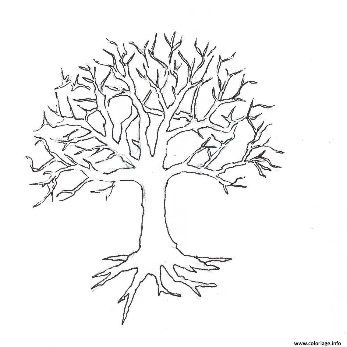 Coloriage Arbre 148 Dessin Arbre à imprimer