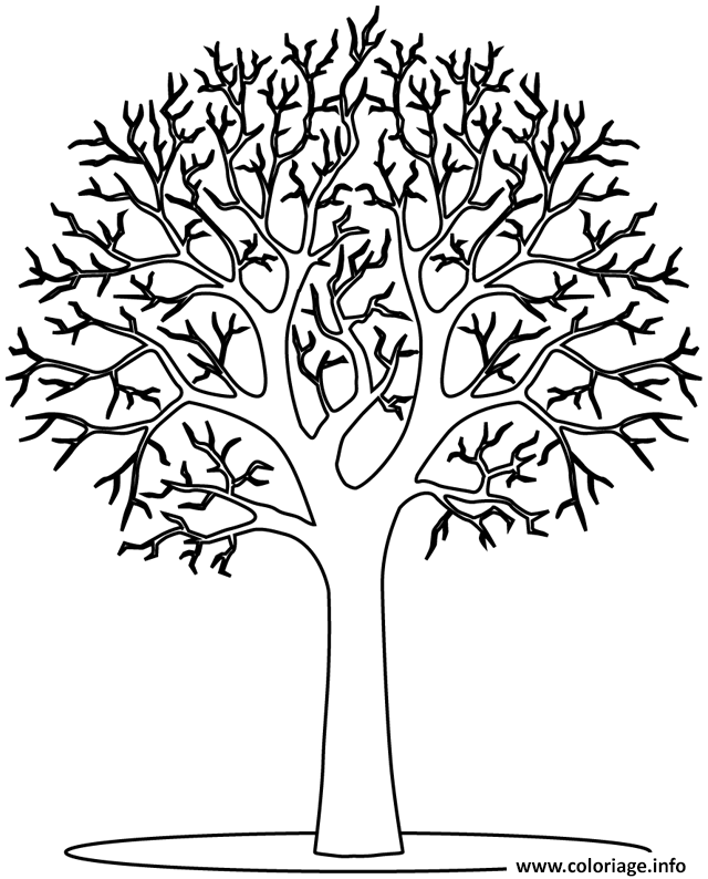 Coloriage arbre 13  JeColorie.com