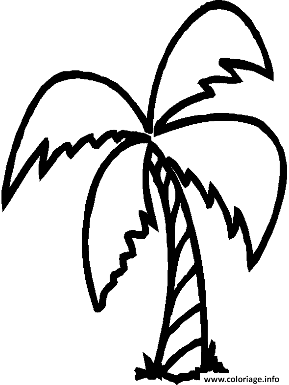 Dessin palmier avec 4 branches Coloriage Gratuit à Imprimer