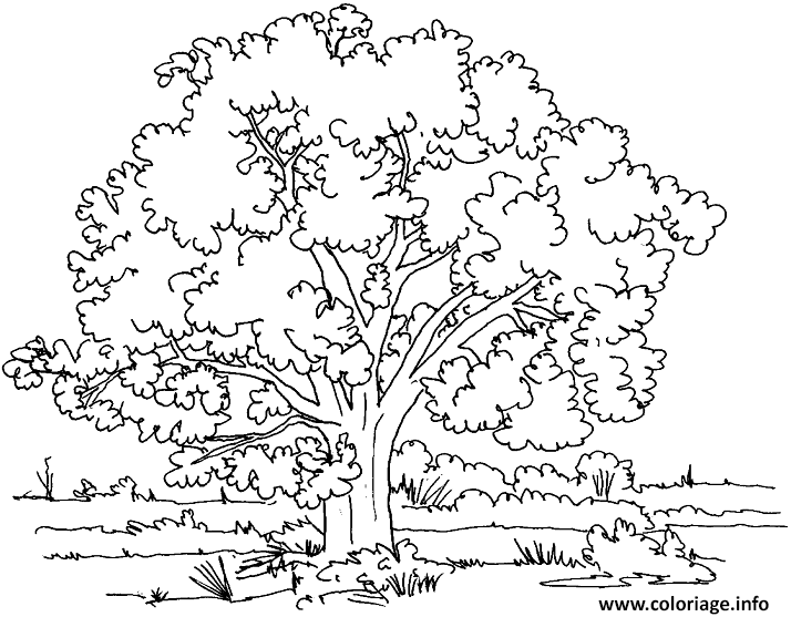 Dessin arbre dans une prairie Coloriage Gratuit à Imprimer
