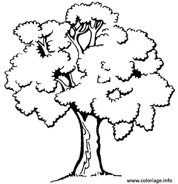 Dessin arbre Coloriage Gratuit à Imprimer