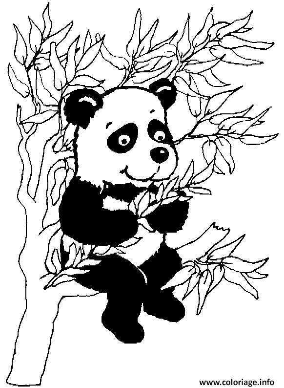 Dessin panda dans un arbre Coloriage Gratuit à Imprimer