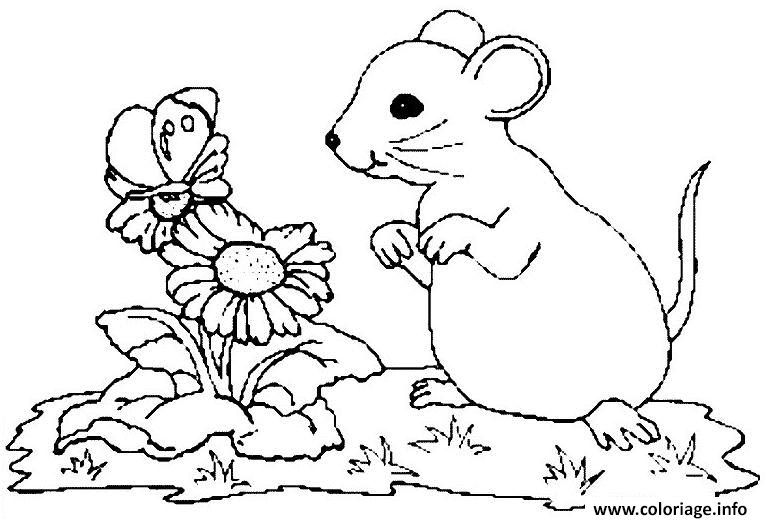 Dessin fleurs et souris Coloriage Gratuit à Imprimer