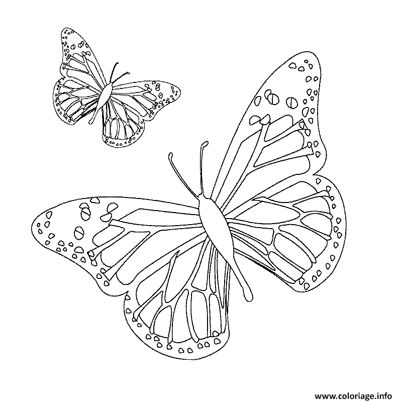 Dessin papillon 36 Coloriage Gratuit à Imprimer