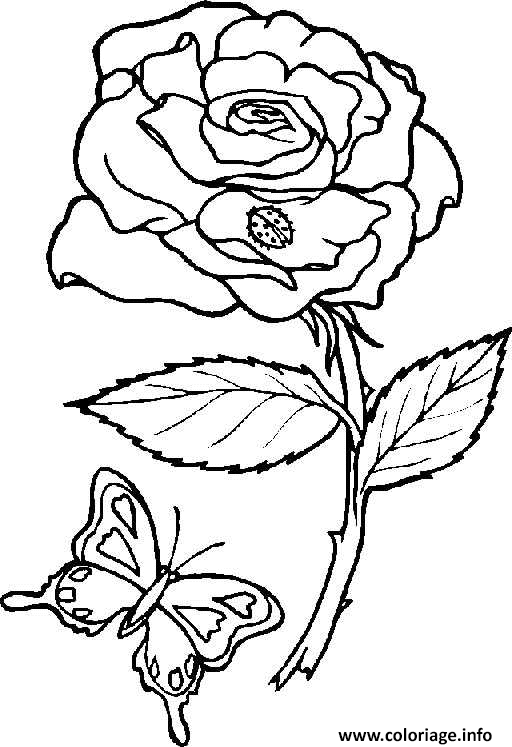 Dessin rose et papillon Coloriage Gratuit à Imprimer