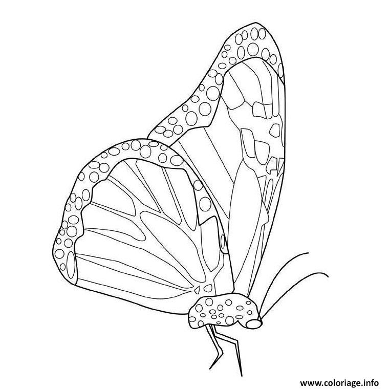 Dessin papillon monarque Coloriage Gratuit à Imprimer