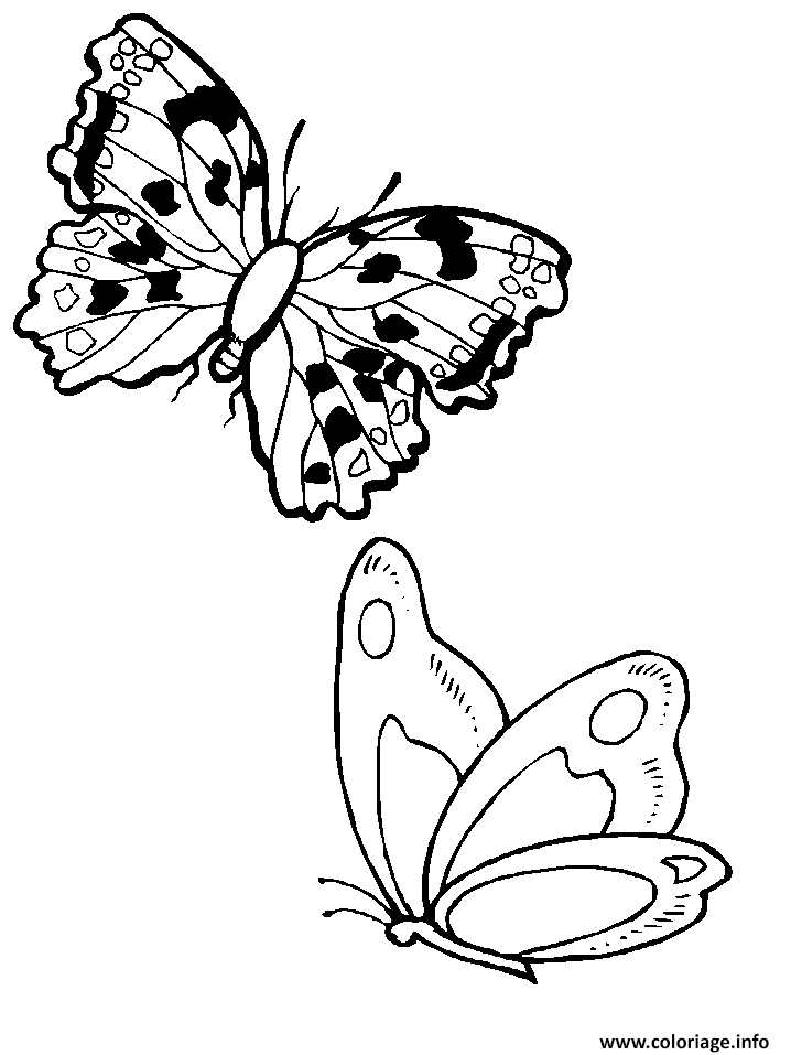 Dessin papillon 195 Coloriage Gratuit à Imprimer