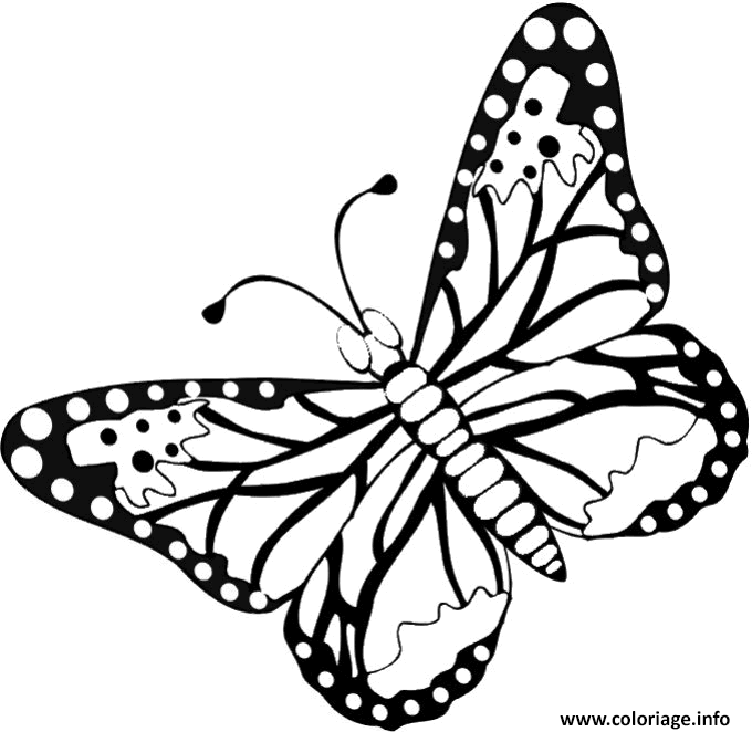 Dessin papillon 76 Coloriage Gratuit à Imprimer