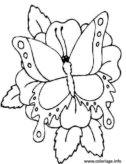Coloriage Papillon Sur 1 Fleur Dessin