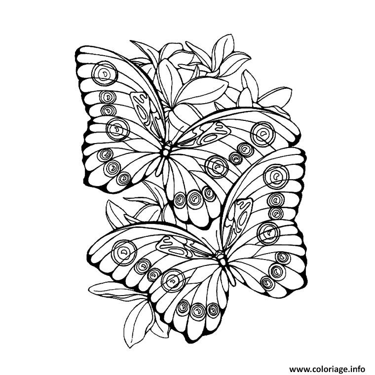 Dessin papillon 190 Coloriage Gratuit à Imprimer