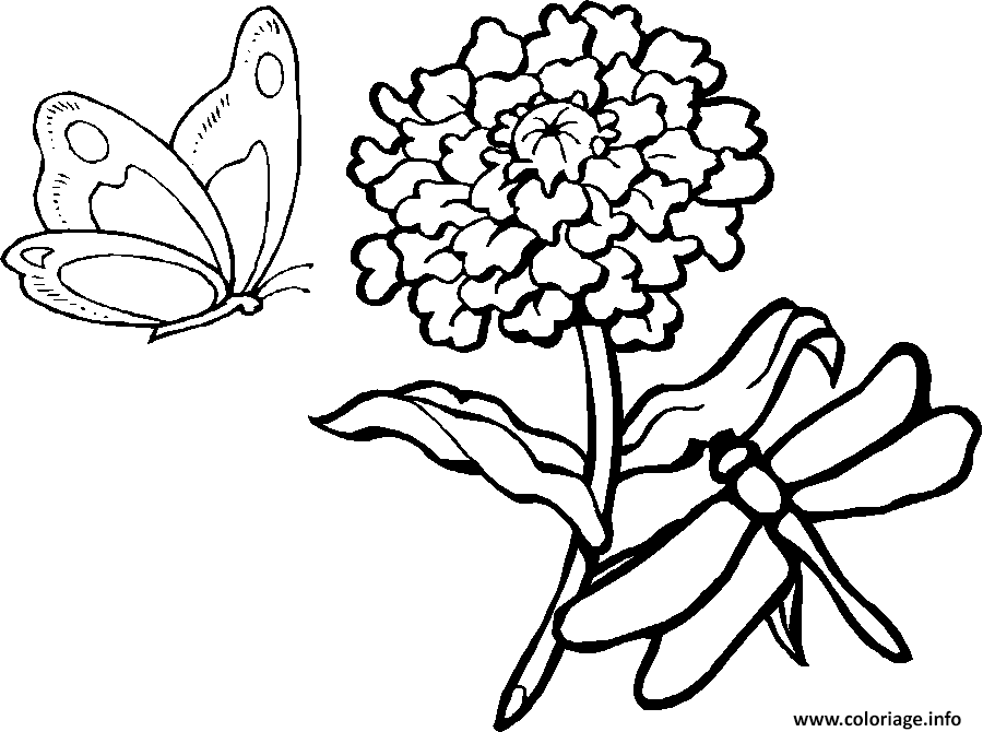 Dessin une libellule et un papillon volent autour d une fleur Coloriage Gratuit à Imprimer