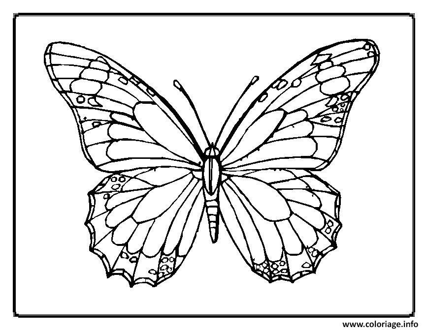 Dessin papillon 8 Coloriage Gratuit à Imprimer