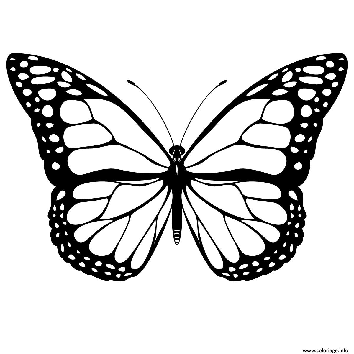 Coloriage Papillon 3 dessin