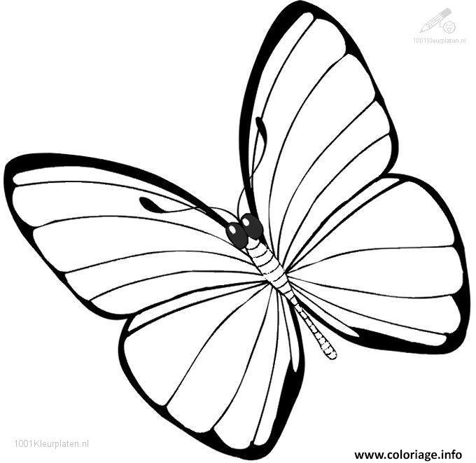 Dessin papillon 37 Coloriage Gratuit à Imprimer