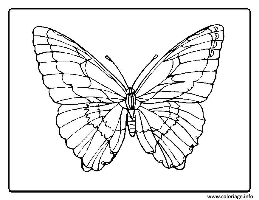 Dessin papillon 12 Coloriage Gratuit à Imprimer