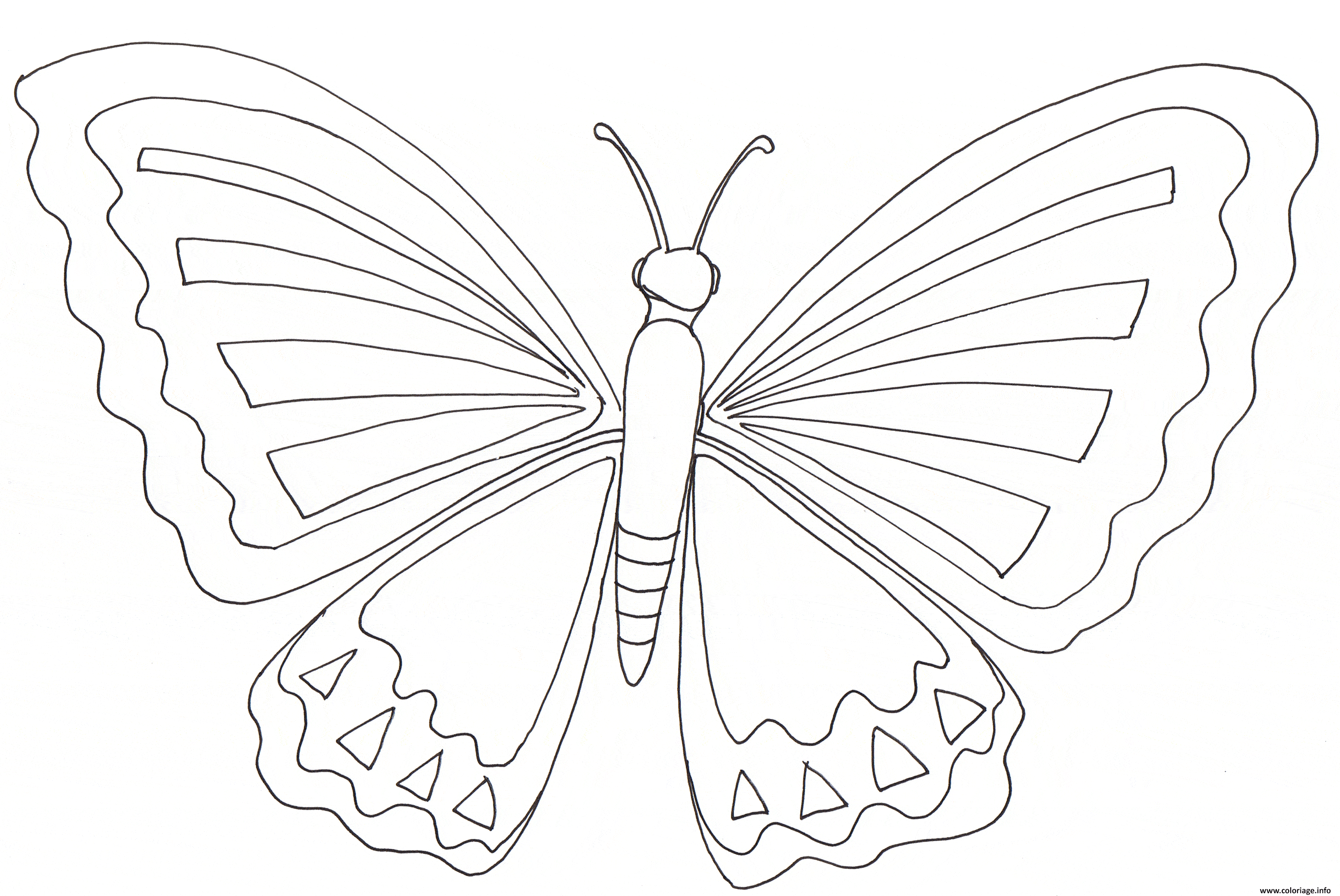 Dessin papillon 10 Coloriage Gratuit à Imprimer