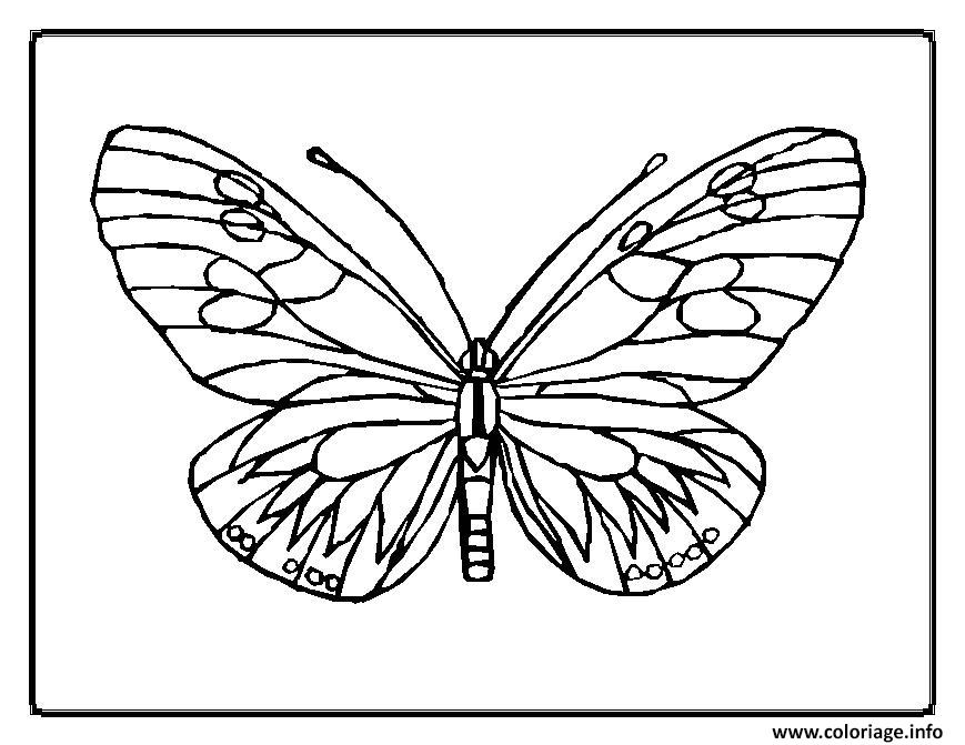 Dessin papillon 6 Coloriage Gratuit à Imprimer