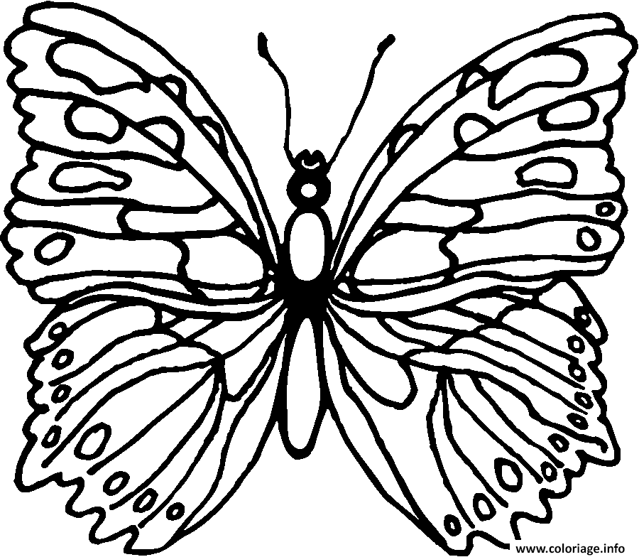 Coloriage Papillon 184 Dessin Papillon à imprimer