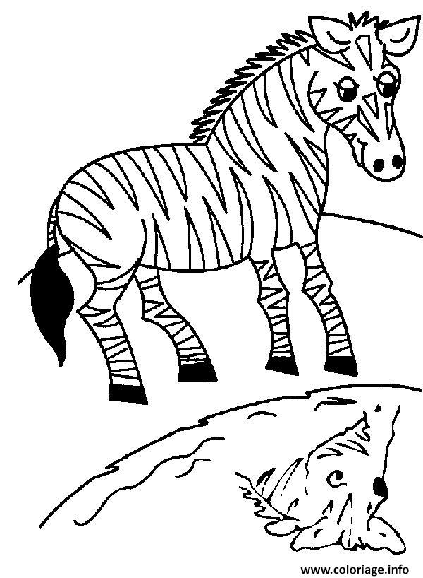 Dessin zebre 17 Coloriage Gratuit à Imprimer