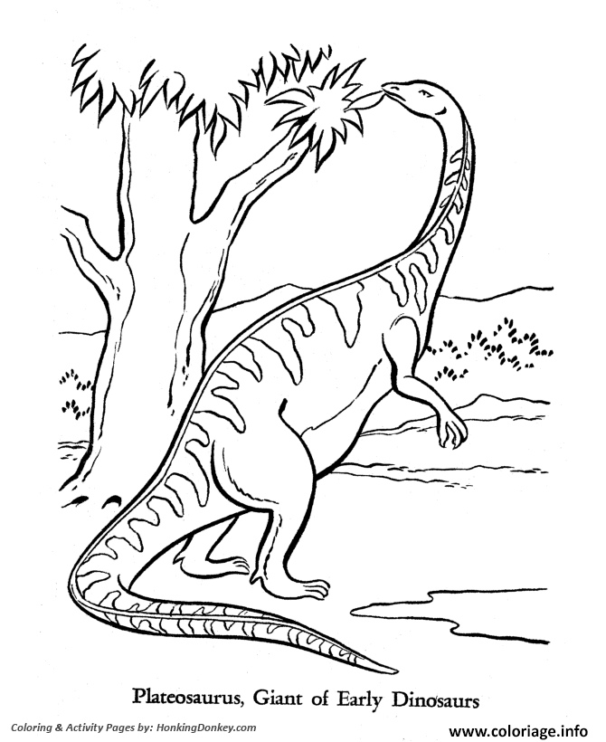 Coloriage Dinosaure 192 Dessin à Imprimer