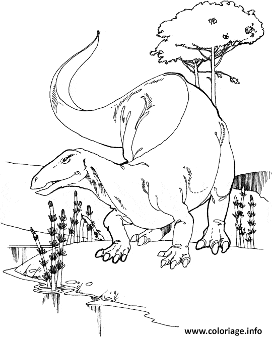 Dessin dinosaure 318 Coloriage Gratuit à Imprimer