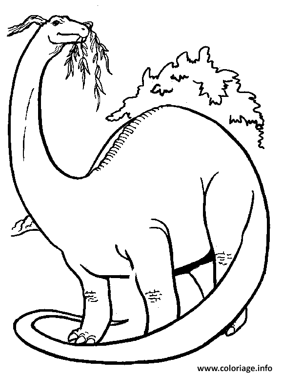 Coloriage dinosaure 272  JeColorie.com