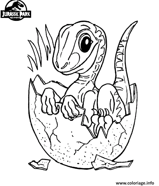 Velociraptor Blue Jurassic World Coloring Pages