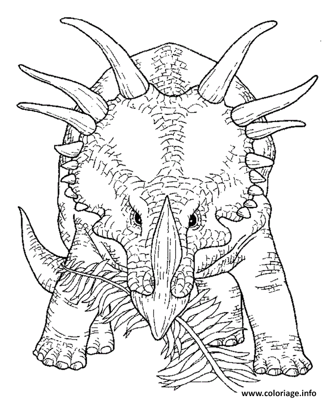 Dessin dinosaure 48 Coloriage Gratuit à Imprimer